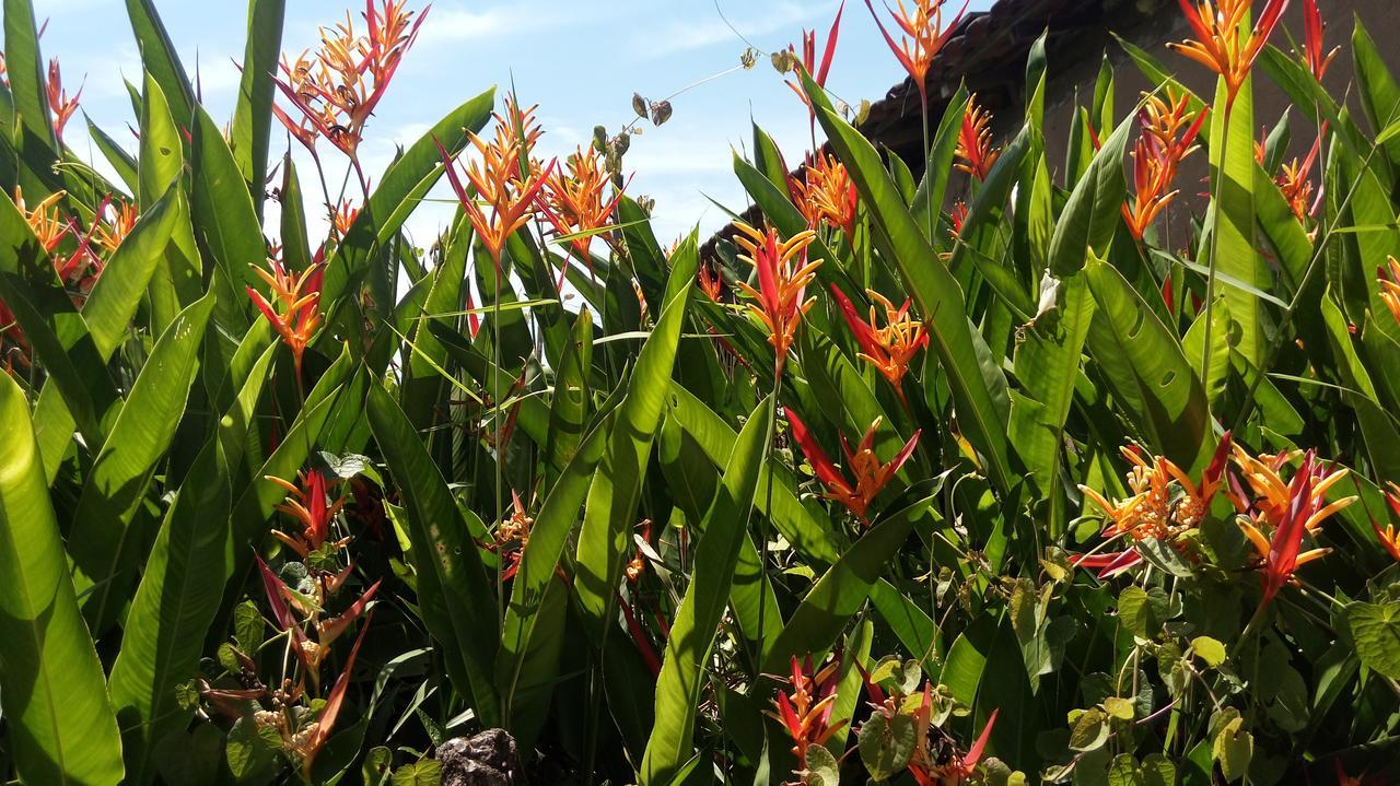 Sonho Meu Pousada Praia de Boraceia Exterior foto